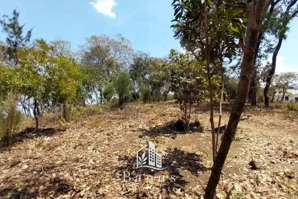 Terreno de 18,896 V² - Aldea Cuchilla del Carmen — foto 23