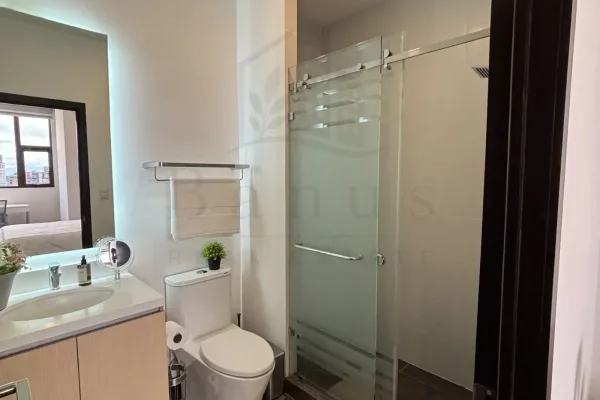 Apartamento 2 Habitaciones - Diagoseis, Zona 10 — foto 37