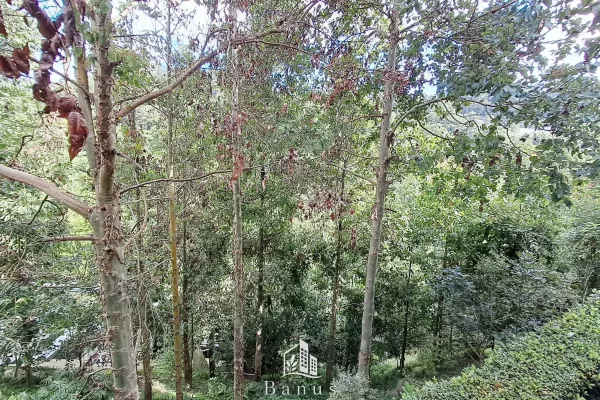Apartamento - Hexa Cañada 16, Zona 16 — foto 9